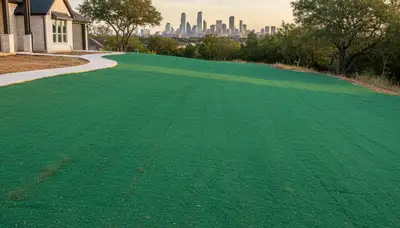 Freshly hydroseeded lawn in Dallas, TX showing even green slurry coverage by professional landscapers